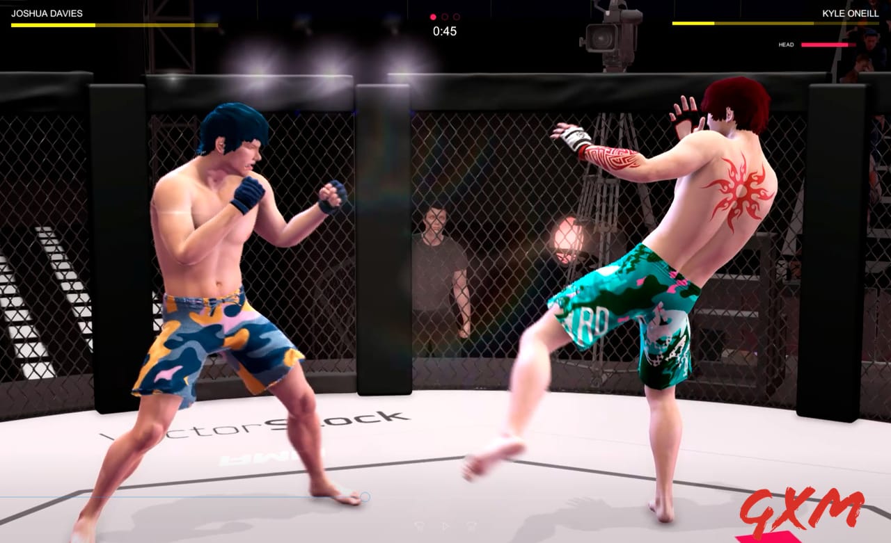 Screenshot 2 of Ultimate MMA