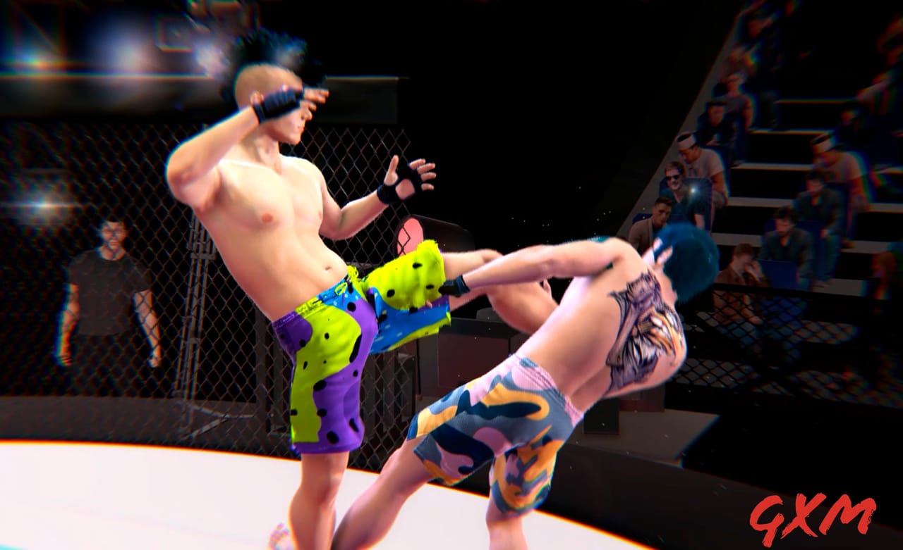 Screenshot 3 of Ultimate MMA