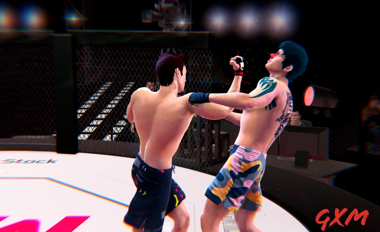 Screenshot 4 of Ultimate MMA