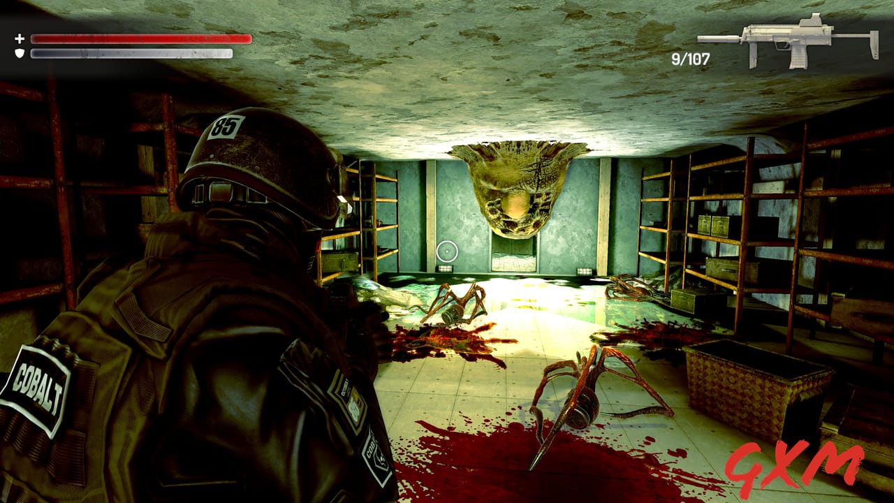 Wall of insanity Screenshot 1