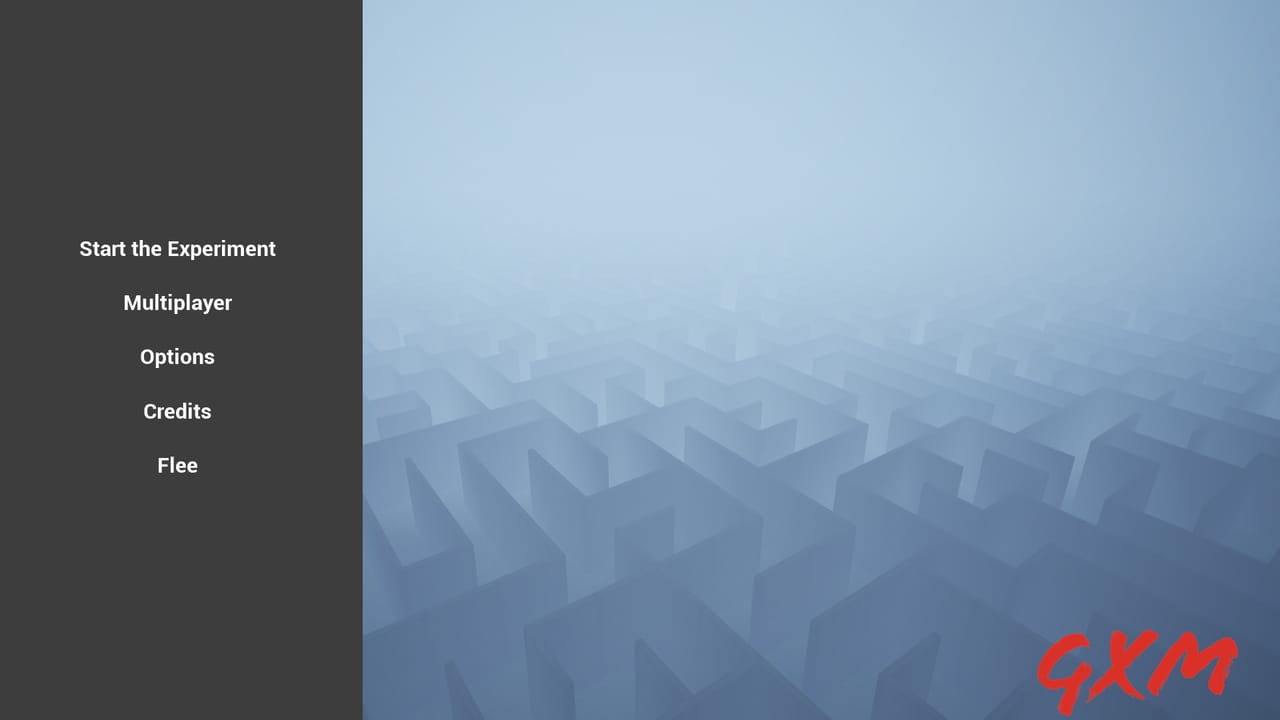 What The Maze Screenshot 1