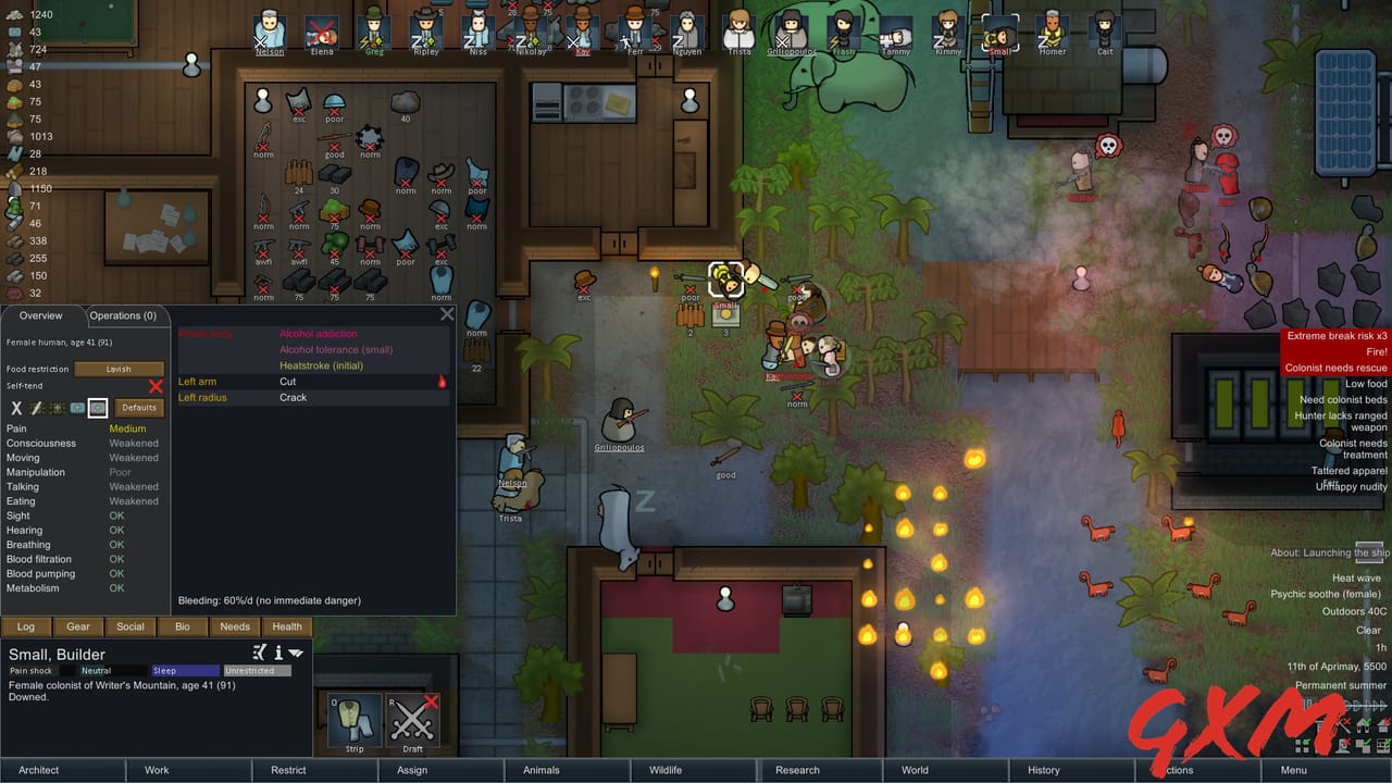 RimWorld Screenshot 1