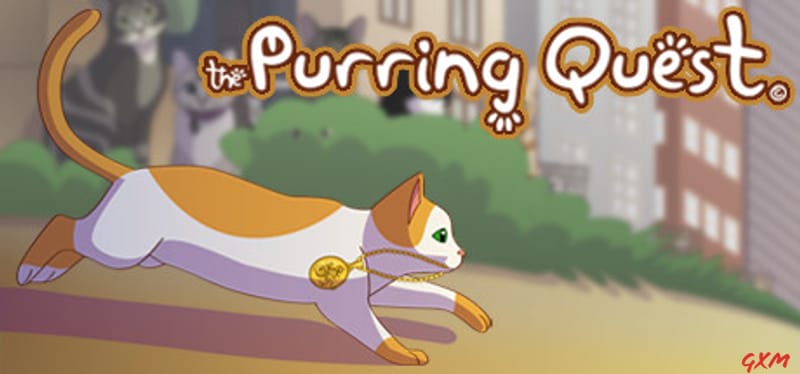 The Purring Quest