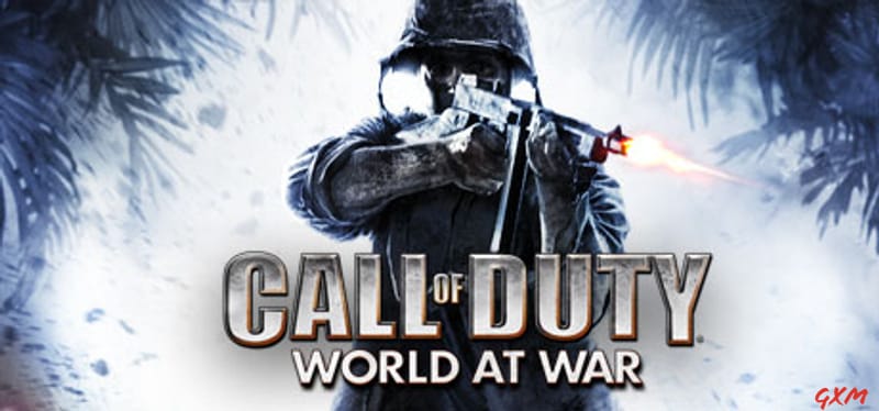 Call of Duty World at War Poster