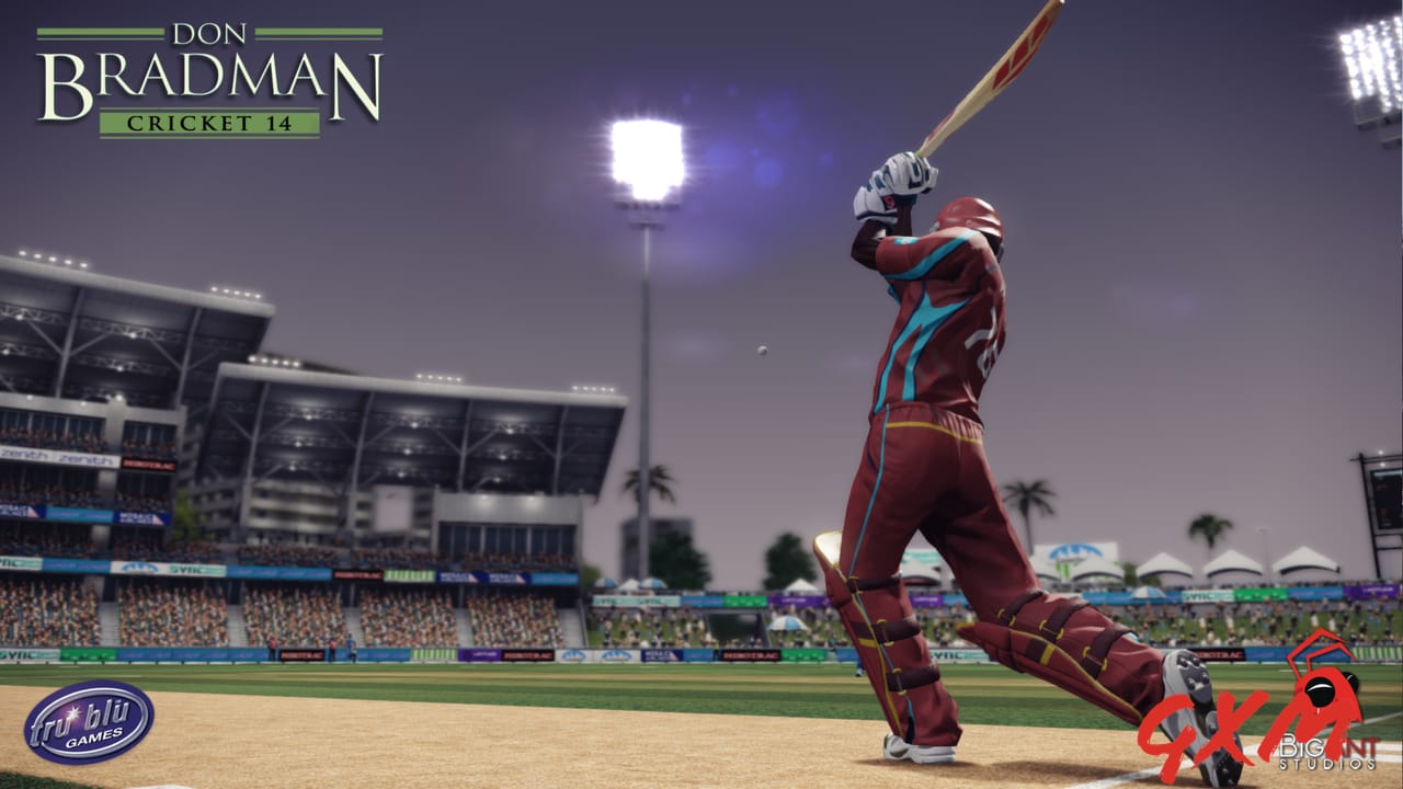 Don Bradman Cricket 14 Screenshot 1