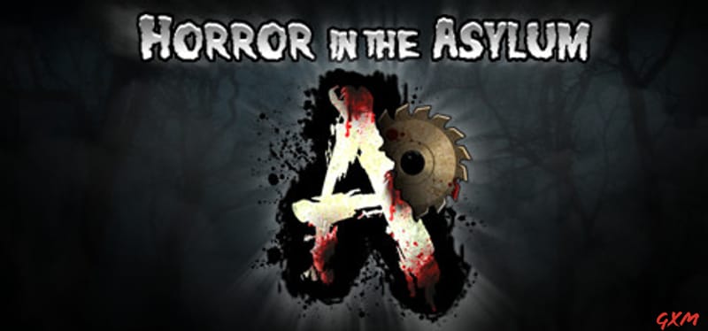 Horror in the Asylum Poster