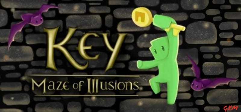 Key: Maze of Illusions Poster