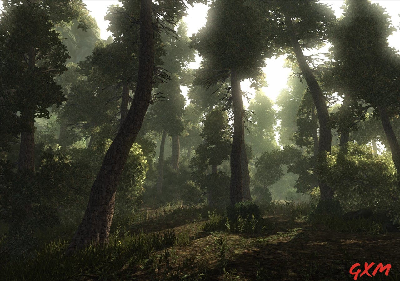 Risen Screenshot 1