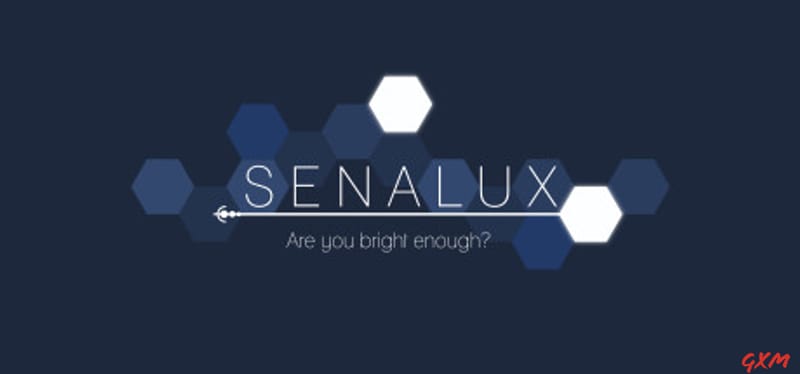 Senalux Poster