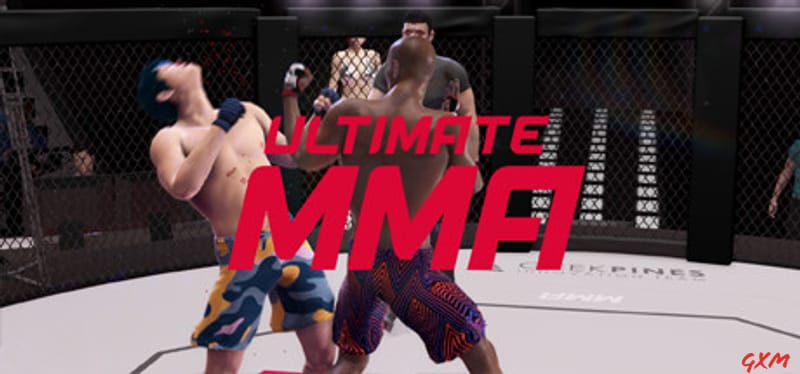 Ultimate MMA Poster