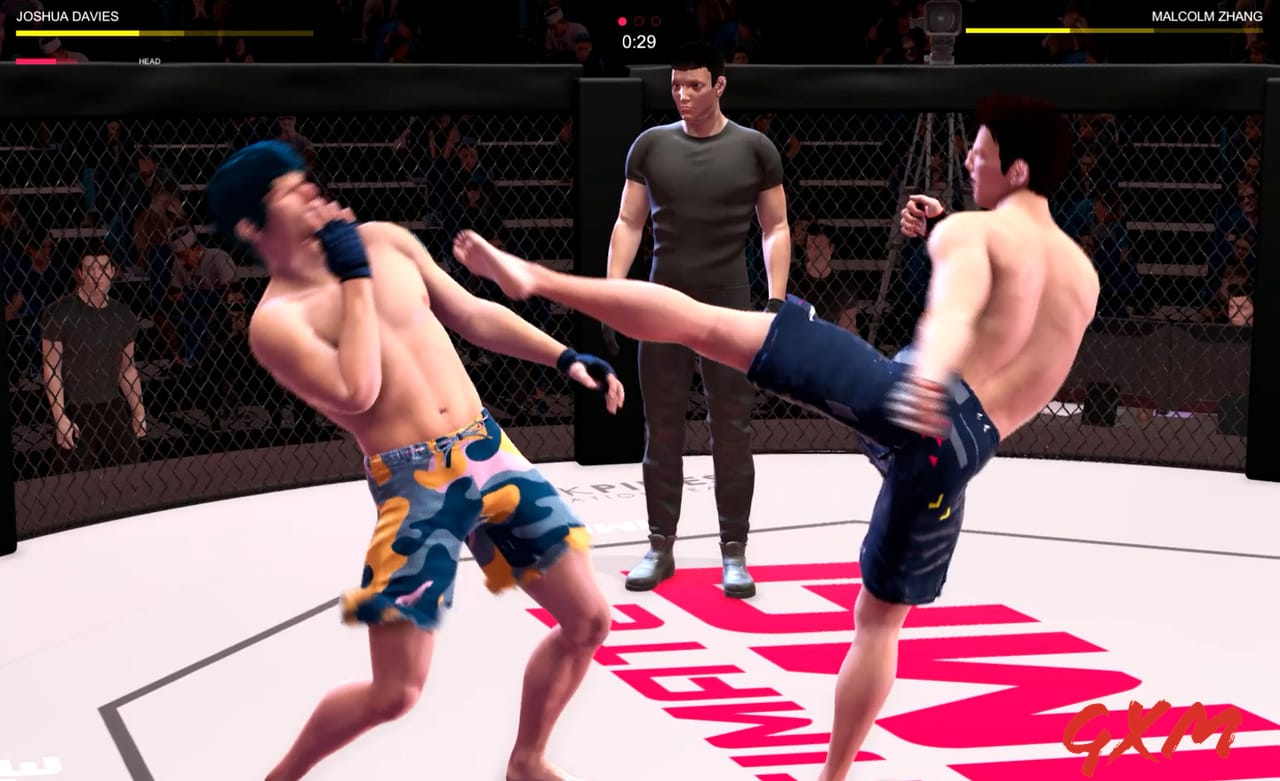 Ultimate MMA Screenshot 1