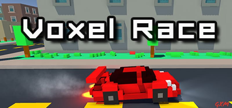 Voxel Race Poster